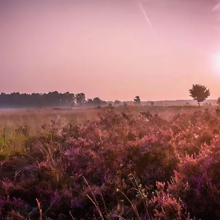 In Veluwe Near Nature Park, Cleaning Included Voorthuizen