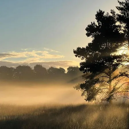 In Veluwe Near Nature Park, Cleaning Included