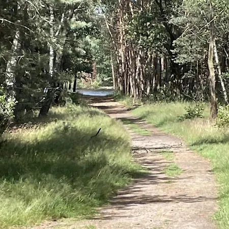 Hébergement de vacances In Veluwe Near Nature Park, Cleaning Included
