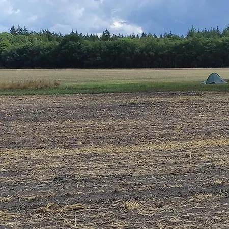 Hébergement de vacances In Veluwe Near Nature Park, Cleaning Included Voorthuizen