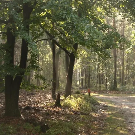In Veluwe Near Nature Park, Cleaning Included *