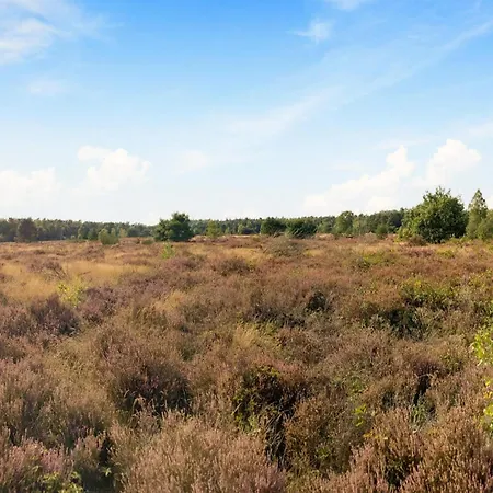 Hébergement de vacances In Veluwe Near Nature Park, Cleaning Included Voorthuizen